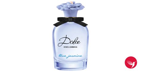 dolce and gabanna blue jasmine